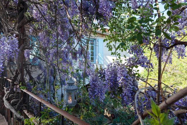 La Vieille Maison - Halte Gourmande Durfort-et-Saint-Martin-de-Sossenac Extérieur photo