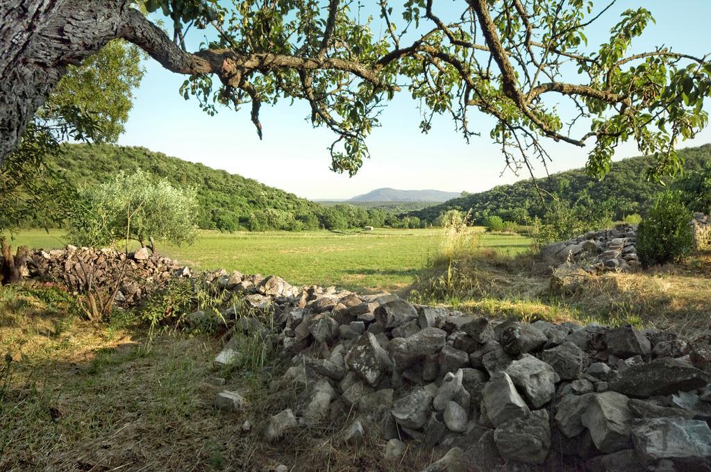 La Vieille Maison - Halte Gourmande Durfort-et-Saint-Martin-de-Sossenac Extérieur photo